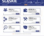 Wybrane dane o województwie śląskim – marzec 2024 (Infografika) Foto