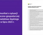 Komunikat o sytuacji społeczno-gospodarczej województwa śląskiego w lipcu 2023 r. Foto