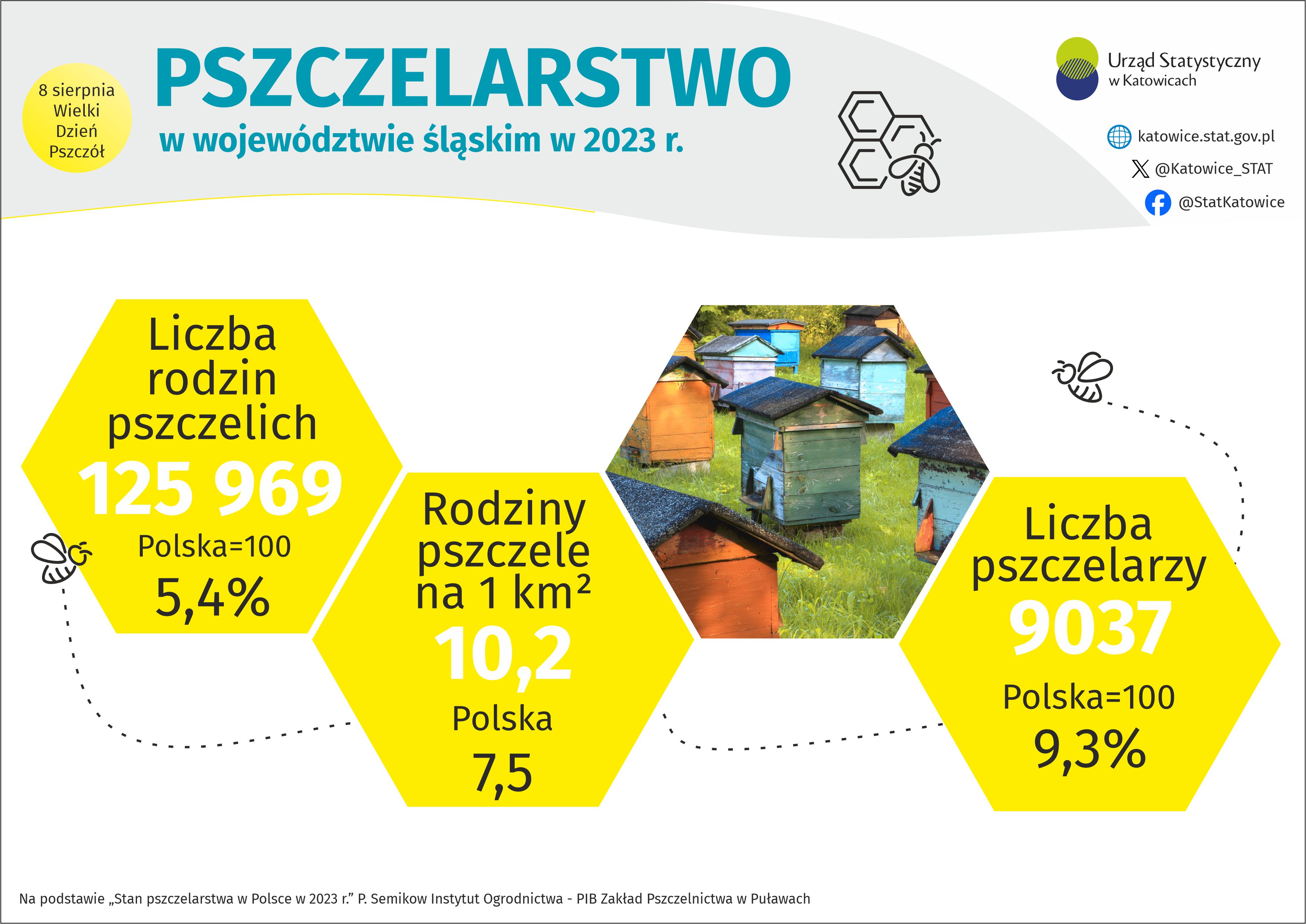 Wielki Dzień Pszczół (Infografika)