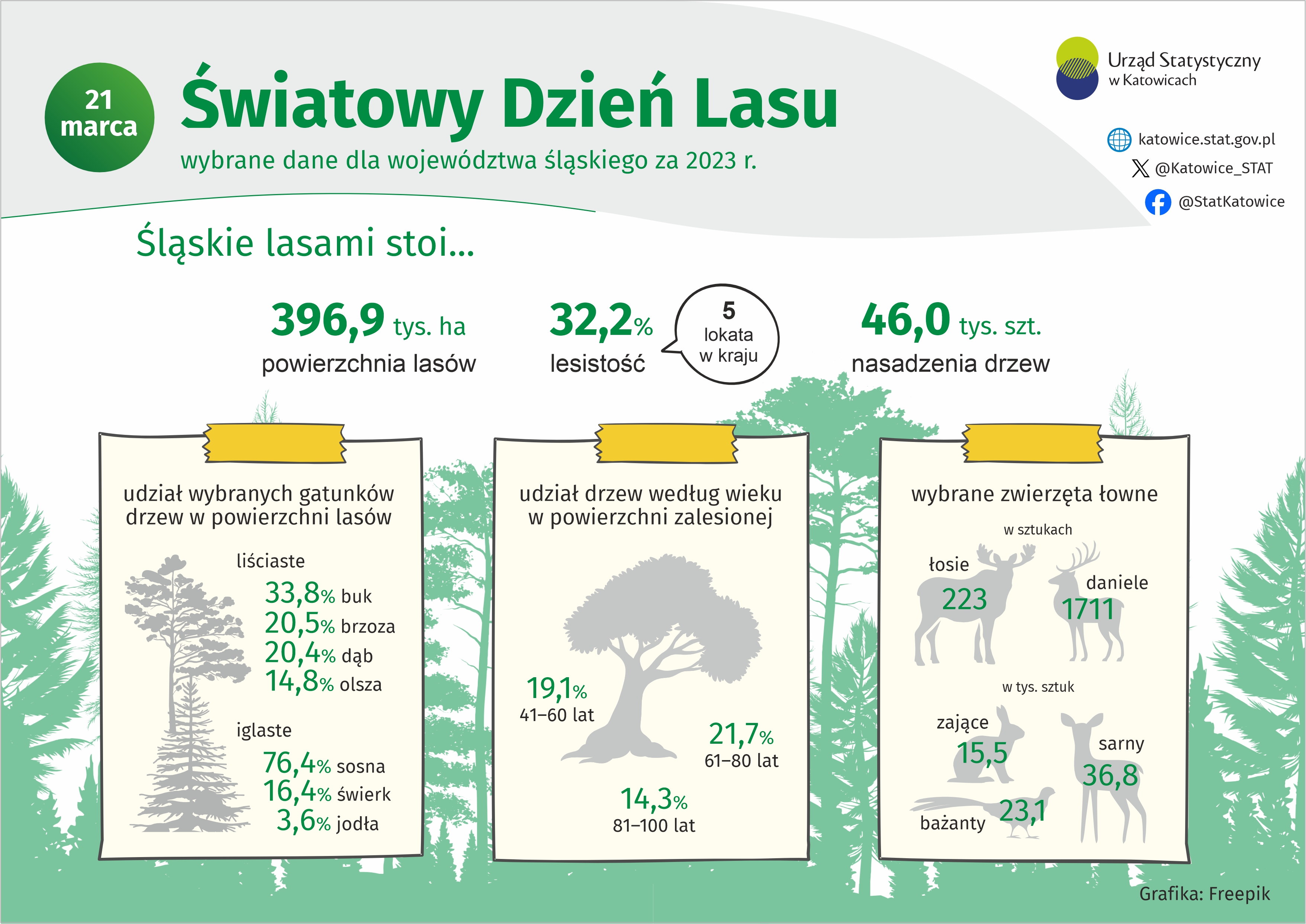 Światowy Dzień Lasu (Infografika)