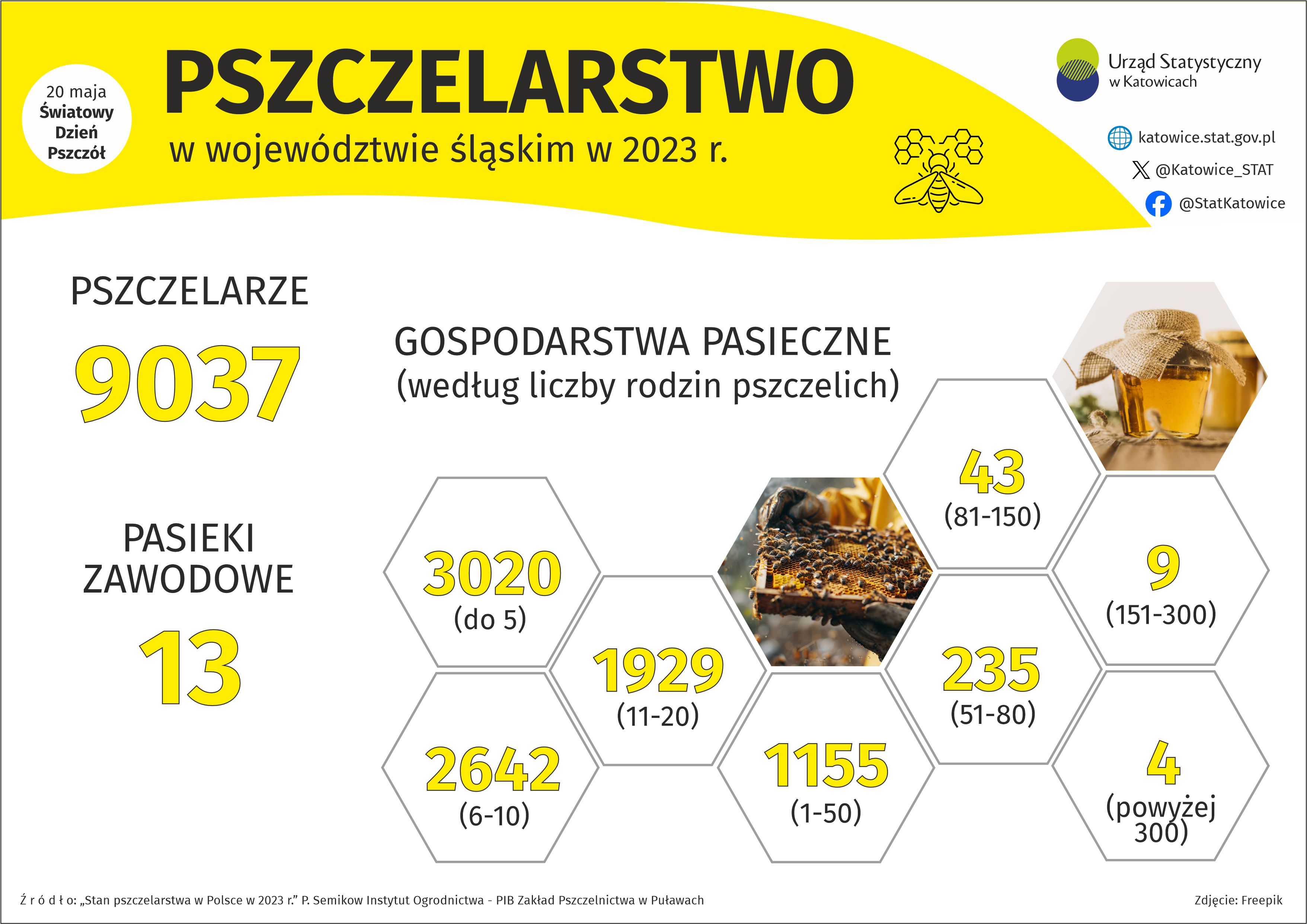 Pszczelarstwo.(Infografika.ipg) 