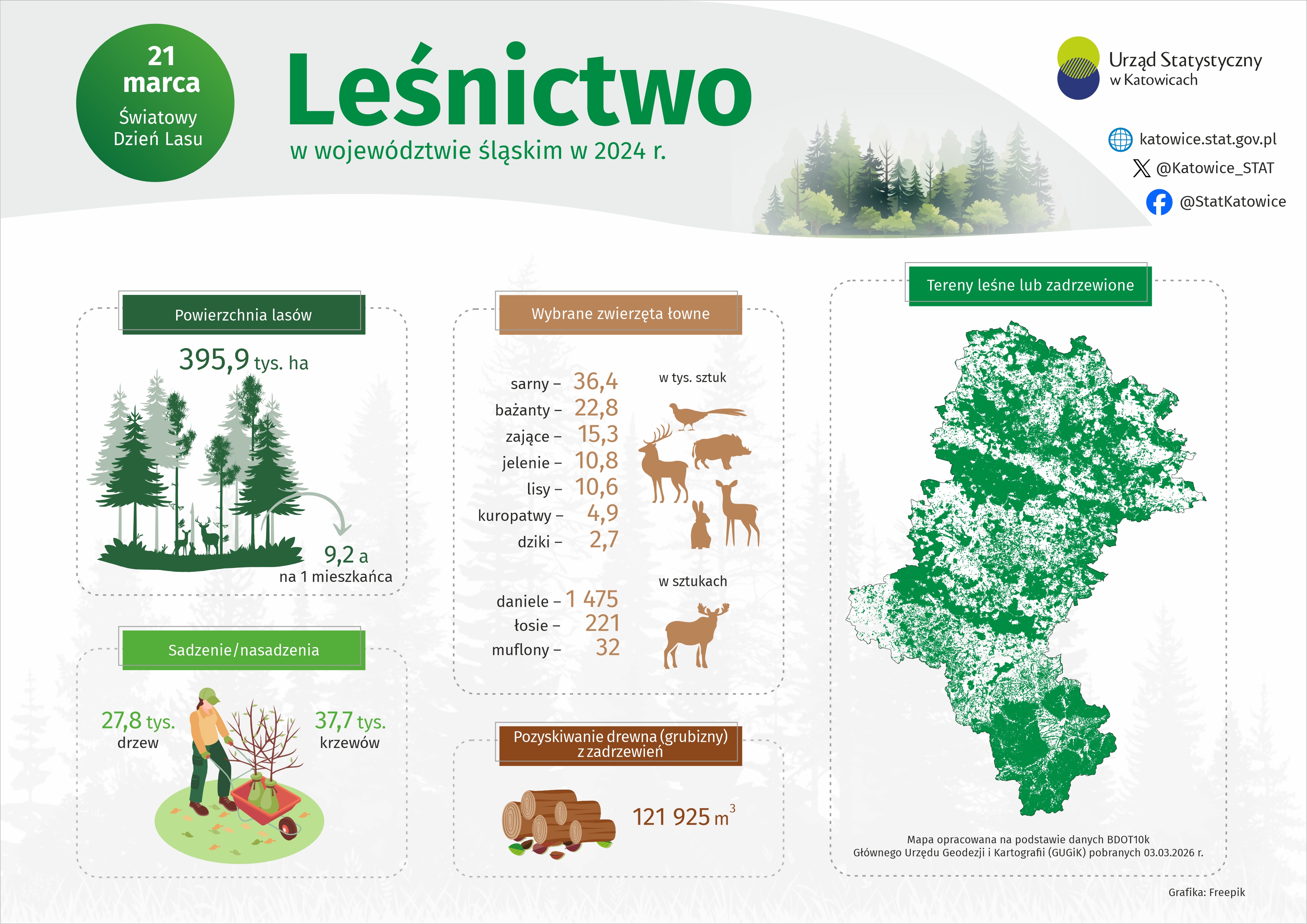Dzień Lasu (Infografika)