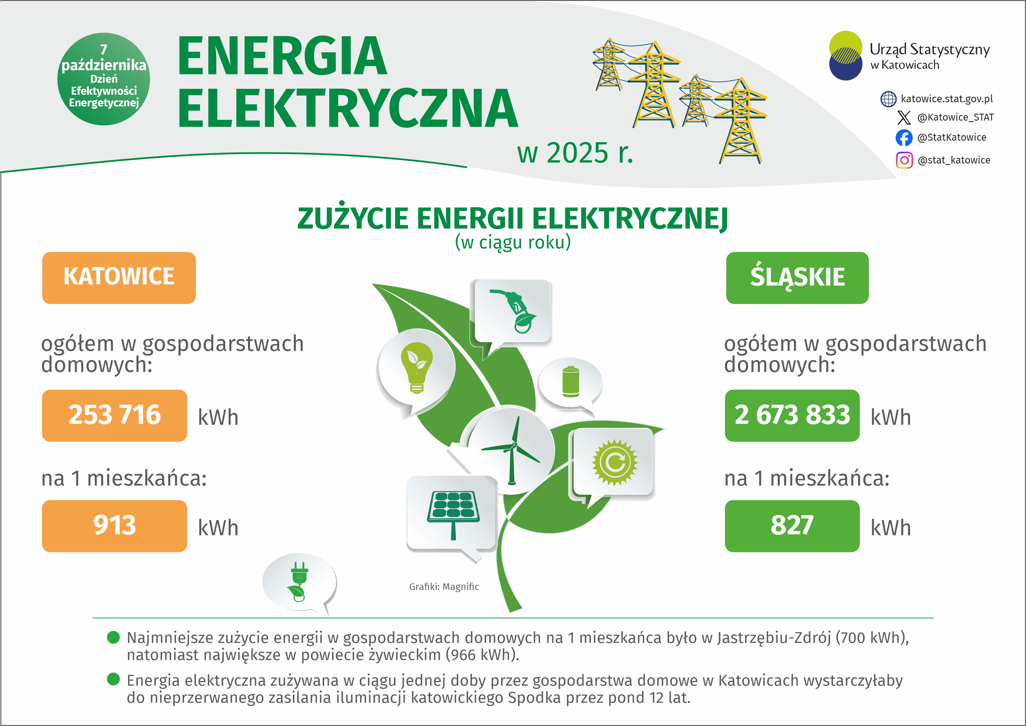 Energia elektryczna w 2025 r. (Infografika)