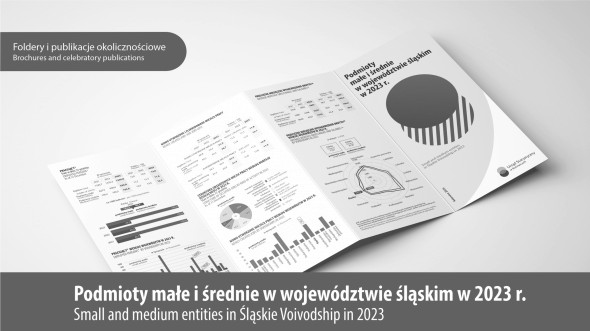 Small and medium entities in Śląskie Voivodship in 2023 - 1st page