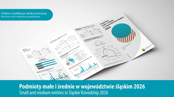 Small and medium entities in Śląskie Voivodship 2026 - 1st page