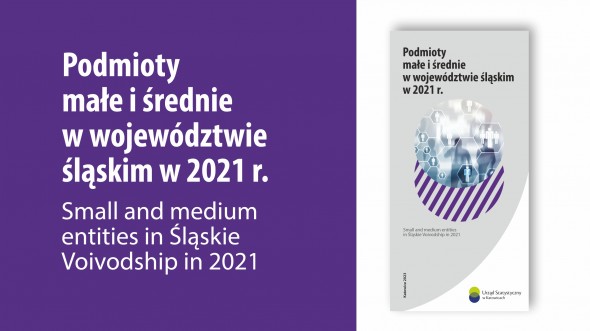 Small and medium entities in Śląskie Voivodship in 2021 - 1st page