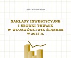 Nakłady inwestycyjne i środki trwałe w województwie śląskim w 2013 r. Foto