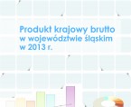 Produkt krajowy brutto w województwie śląskim w 2013 r. Foto