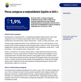 Piecza zastępcza w województwie śląskim w 2025 r. - okładka