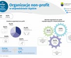 Organizacje non-profit w województwie śląskim (Infografika) Foto