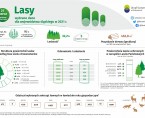 Światowy Dzień Lasu (Infografika) Foto