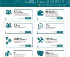 Wybrane dane o Katowicach – styczeń 2024 (Infografika) Foto