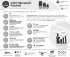 Dzień Statystyki Polskiej (Infografika) Foto