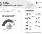 Dzień Lasu (Infografika) Foto
