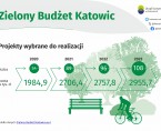 Zielony Budżet Katowic (Infografika) Foto