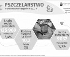 Wielki Dzień Pszczół (Infografika) Foto