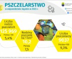 Wielki Dzień Pszczół (Infografika) Foto