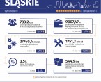 Wybrane dane o województwie śląskim – listopad 2024 r. (Infografika) Foto