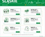 Wybrane dane o województwie śląskim – styczeń 2025 r. Foto
