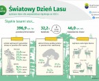 Światowy Dzień Lasu (Infografika) Foto