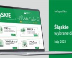 Wybrane dane o województwie śląskim – luty 2025 r. (Infografika) Foto