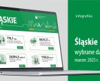Wybrane dane o województwie śląskim – marzec 2025 r. (Infografika) Foto