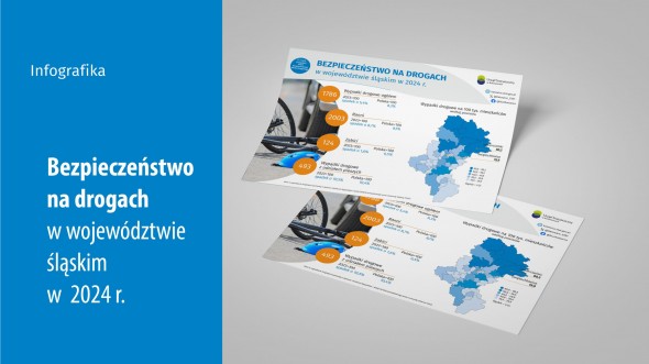Europejski Dzień Bezpieczeństwa Ruchu Drogowego (Infografika)