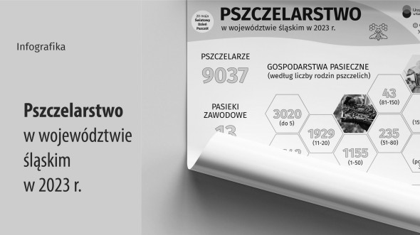 Pszczelarstwo (Infografika)