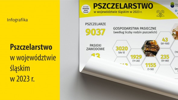 Pszczelarstwo (Infografika)