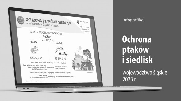 Ochrona ptaków i siedlisk (Infografika)