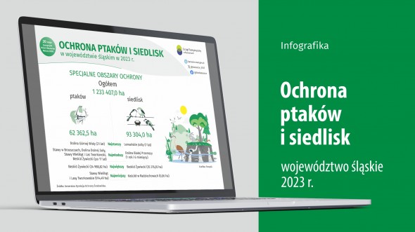 Ochrona ptaków i siedlisk (Infografika)
