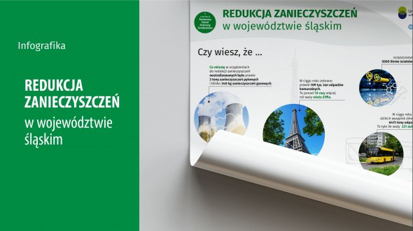 Dzień Ochrony Środowiska (Infografika)