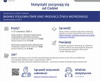 Badanie pogłowia świń oraz produkcji żywca wieprzowego (Infografika) Foto