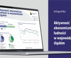 Aktywność ekonomiczna ludności w województwie śląskim w 1 kwartale 2025 r. (Infografika) Foto