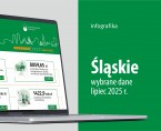 Wybrane dane o województwie śląskim – lipiec 2025 r. (Infografika) Foto