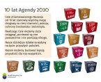 Cele Zrównoważonego Rozwoju (Infografika) Foto