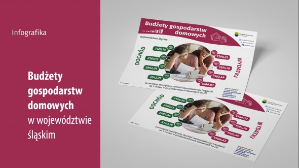 Budżety gospodarstw domowych (Infografika)
