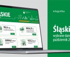 Wybrane dane o województwie śląskim – październik 2025 r. (Infografika) Foto