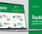 Wybrane dane o województwie śląskim – grudzień 2025 r. (Infografika) Foto
