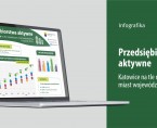Przedsiębiorstwa aktywne (Infografika) Foto