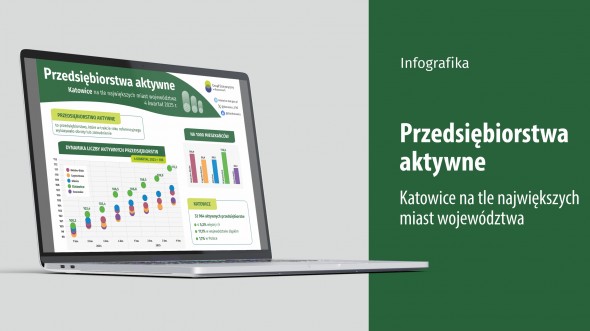 Przedsiębiorstwa aktywne (Infografika)