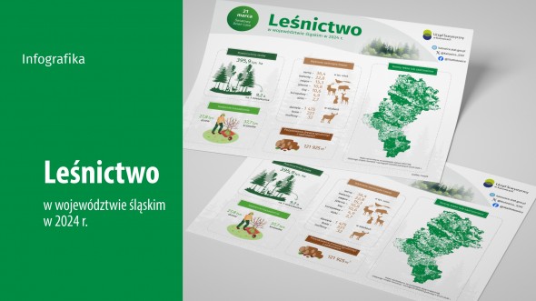 Dzień Lasu (Infografika)