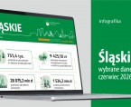 Wybrane dane o województwie śląskim – czerwiec 2026 r. (Infografika) Foto