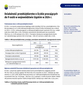 Działalność przedsiębiorstw o liczbie pracujących do 9 osób w województwie śląskim w 2024 r.