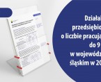 Działalność przedsiębiorstw o liczbie pracujących do 9 osób w województwie śląskim w 2024 r. Foto