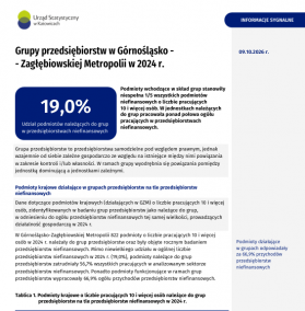 Grupy przedsiębiorstw w Górnośląsko-Zagłębiowskiej Metropolii w 2024 r. - 1 strona