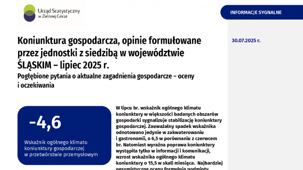 koniunktura za lipiec 2025  - okładka