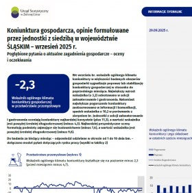 Koniunktura gospodarcza w województwie śląskim - wrzesień 2025 r.