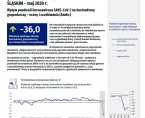 Koniunktura gospodarcza w województwie śląskim w maju 2020 r. Foto