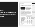 Budżety gospodarstw domowych w województwie śląskim w 2021 r. Foto